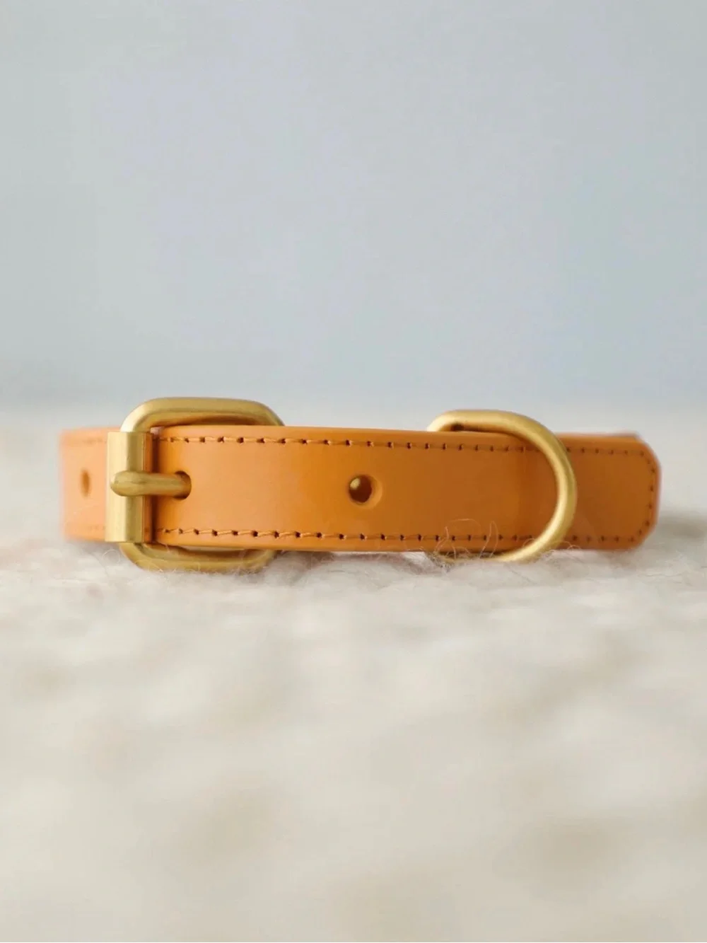 Furb endless summer and seas the day embroidered dog collars